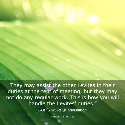 Picture 03 - Numbers 8:26 GW - They may assist the other Levites in their duties - Bible Verse Picture