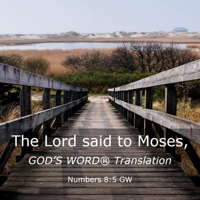 Picture 03 - Numbers 8:5 GW - The Lord said to - Bible Verse Picture