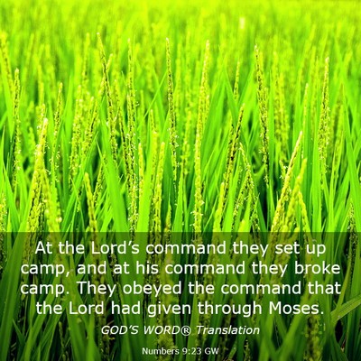 Picture 03 - Numbers 9:23 GW - At the Lord’s command they set up camp, and at - Bible Verse Picture