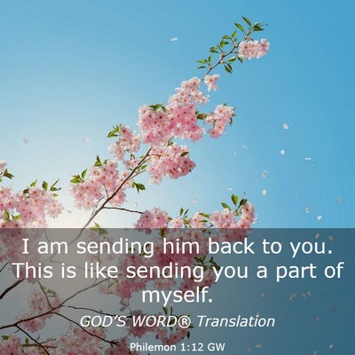 Picture 03 - Philemon 1:12 GW - I am sending him back to you. This is like - Bible Verse Picture