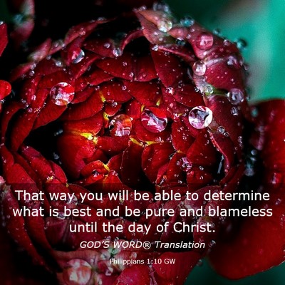 Picture 03 - Philippians 1:10 GW - That way you will be able to determine what is - Bible Verse Picture