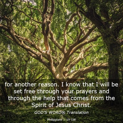Picture 03 - Philippians 1:19 GW - for another reason. I know that I will be set - Bible Verse Picture