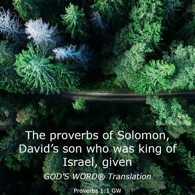 Picture 03 - Proverbs 1:1 GW - The proverbs of Solomon, David’s son who was - Bible Verse Picture
