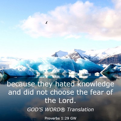 Picture 03 - Proverbs 1:29 GW - because they hated knowledge and did not choose - Bible Verse Picture