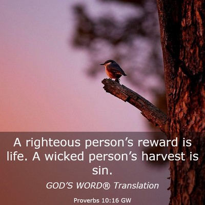 Picture 03 - Proverbs 10:16 GW - A righteous person’s reward is life. A wicked - Bible Verse Picture