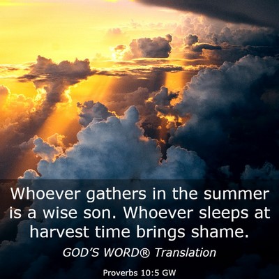Picture 03 - Proverbs 10:5 GW - Whoever gathers in the summer is a wise son. - Bible Verse Picture