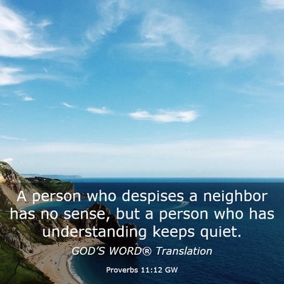 Picture 03 - Proverbs 11:12 GW - A person who despises a neighbor has no sense, - Bible Verse Picture