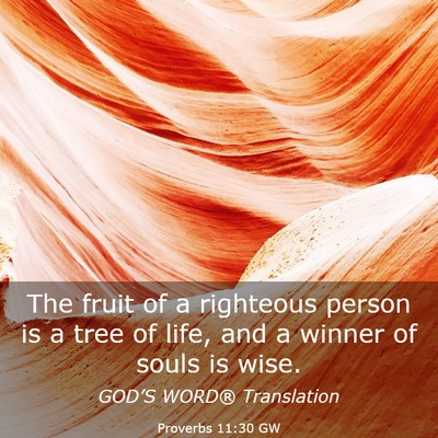 Picture 03 - Proverbs 11:30 GW - The fruit of a righteous person is a tree of - Bible Verse Picture
