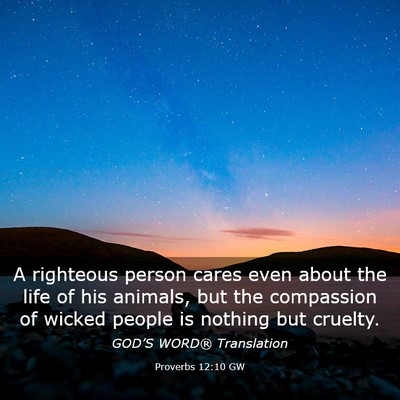 Picture 03 - Proverbs 12:10 GW - A righteous person cares even about the life of - Bible Verse Picture