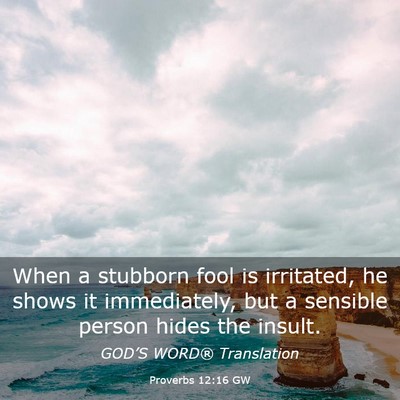 Picture 03 - Proverbs 12:16 GW - When a stubborn fool is irritated, he shows it - Bible Verse Picture