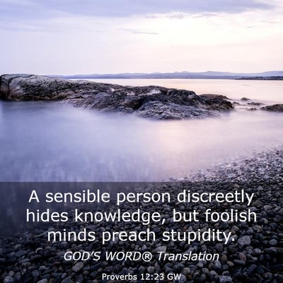 Picture 03 - Proverbs 12:23 GW - A sensible person discreetly hides knowledge, but - Bible Verse Picture