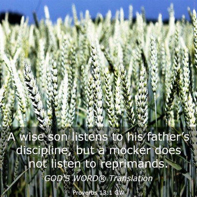 Picture 03 - Proverbs 13:1 GW - A wise son listens to his father’s discipline, - Bible Verse Picture