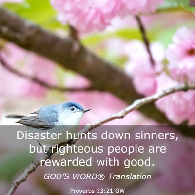 Picture 03 - Proverbs 13:21 GW - Disaster hunts down sinners, but righteous people - Bible Verse Picture