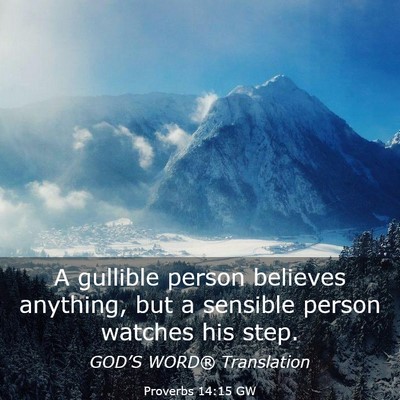 Picture 03 - Proverbs 14:15 GW - A gullible person believes anything, but a - Bible Verse Picture