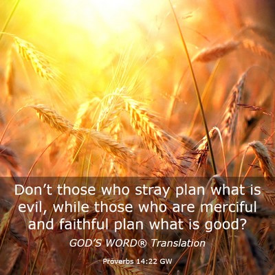 Picture 03 - Proverbs 14:22 GW - Don’t those who stray plan what is evil, while - Bible Verse Picture
