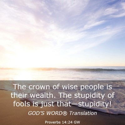 Picture 03 - Proverbs 14:24 GW - The crown of wise people is their wealth. The - Bible Verse Picture