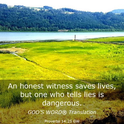 Picture 03 - Proverbs 14:25 GW - An honest witness saves lives, but one who tells - Bible Verse Picture