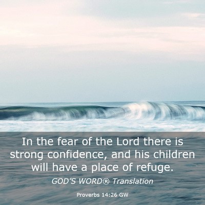 Picture 03 - Proverbs 14:26 GW - In the fear of the Lord there is strong - Bible Verse Picture