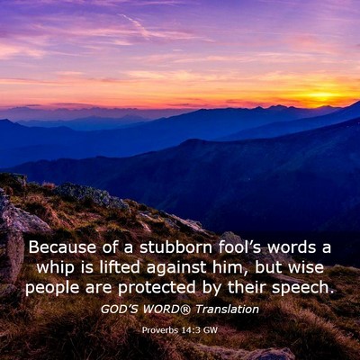 Picture 03 - Proverbs 14:3 GW - Because of a stubborn fool’s words a whip is - Bible Verse Picture