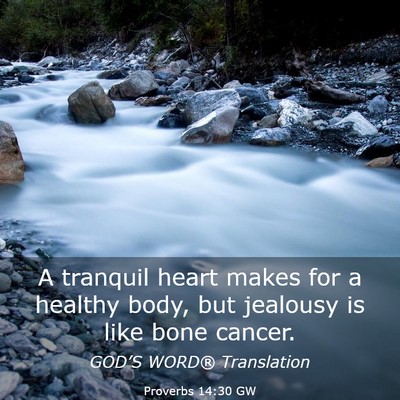 Picture 03 - Proverbs 14:30 GW - A tranquil heart makes for a healthy body, but - Bible Verse Picture