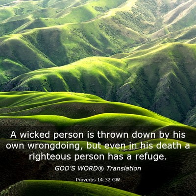 Picture 03 - Proverbs 14:32 GW - A wicked person is thrown down by his own - Bible Verse Picture