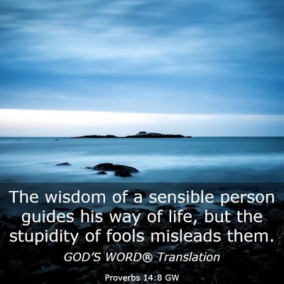 Picture 03 - Proverbs 14:8 GW - The wisdom of a sensible person guides his way of - Bible Verse Picture