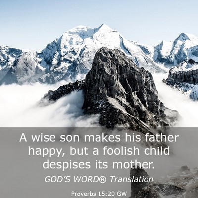Picture 03 - Proverbs 15:20 GW - A wise son makes his father happy, but a foolish - Bible Verse Picture