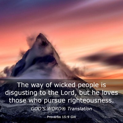 Picture 03 - Proverbs 15:9 GW - The way of wicked people is disgusting to the - Bible Verse Picture
