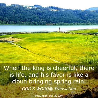 Picture 03 - Proverbs 16:15 GW - When the king is cheerful, there is life, and his - Bible Verse Picture