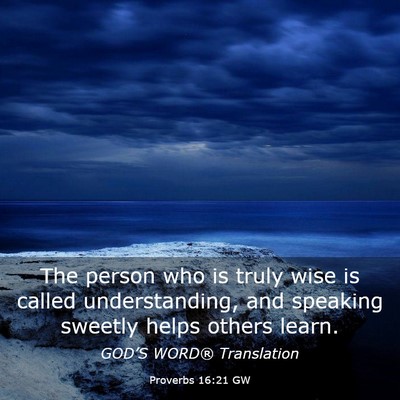 Picture 03 - Proverbs 16:21 GW - The person who is truly wise is called - Bible Verse Picture