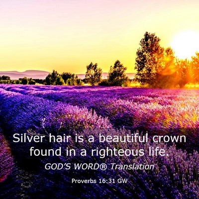 Picture 03 - Proverbs 16:31 GW - Silver hair is a beautiful crown found in a - Bible Verse Picture