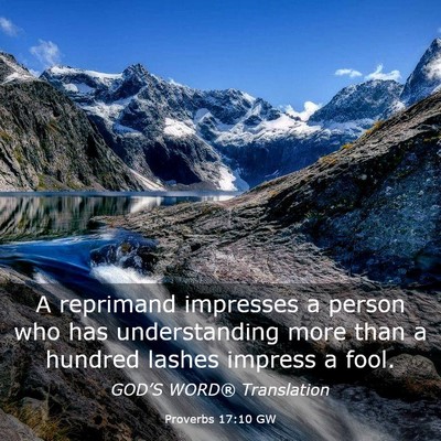Picture 03 - Proverbs 17:10 GW - A reprimand impresses a person who has - Bible Verse Picture