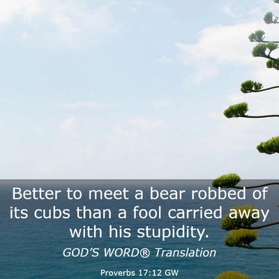 Picture 03 - Proverbs 17:12 GW - Better to meet a bear robbed of its cubs than a - Bible Verse Picture