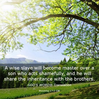 Picture 03 - Proverbs 17:2 GW - A wise slave will become master over a son who - Bible Verse Picture
