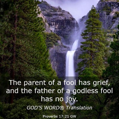 Picture 03 - Proverbs 17:21 GW - The parent of a fool has grief, and the father of - Bible Verse Picture