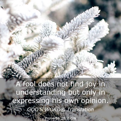 Picture 03 - Proverbs 18:2 GW - A fool does not find joy in understanding but - Bible Verse Picture