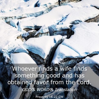 Picture 03 - Proverbs 18:22 GW - Whoever finds a wife finds something good and has - Bible Verse Picture