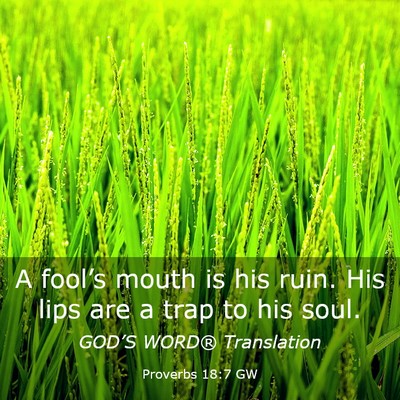Picture 03 - Proverbs 18:7 GW - A fool’s mouth is his ruin. His lips are a trap - Bible Verse Picture