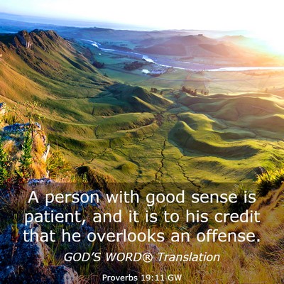 Picture 03 - Proverbs 19:11 GW - A person with good sense is patient, and it is to - Bible Verse Picture