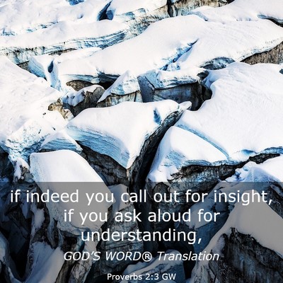 Picture 03 - Proverbs 2:3 GW - if indeed you call out for insight, if you ask - Bible Verse Picture