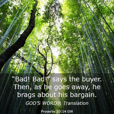 Picture 03 - Proverbs 20:14 GW - “Bad! Bad!” says the buyer. Then, as he goes - Bible Verse Picture