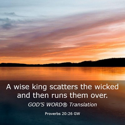 Picture 03 - Proverbs 20:26 GW - A wise king scatters the wicked and then runs - Bible Verse Picture
