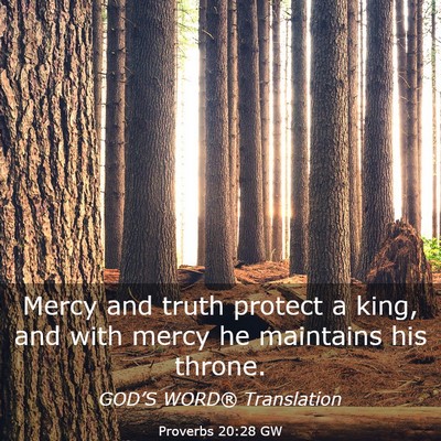 Picture 03 - Proverbs 20:28 GW - Mercy and truth protect a king, and with mercy he - Bible Verse Picture
