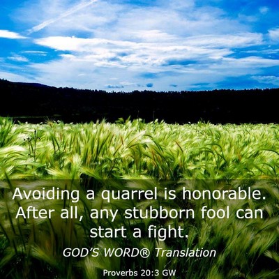 Picture 03 - Proverbs 20:3 GW - Avoiding a quarrel is honorable. After all, any - Bible Verse Picture