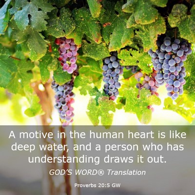 Picture 03 - Proverbs 20:5 GW - A motive in the human heart is like deep water, - Bible Verse Picture