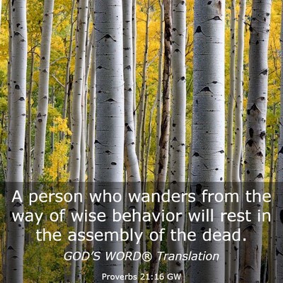 Picture 03 - Proverbs 21:16 GW - A person who wanders from the way of wise - Bible Verse Picture