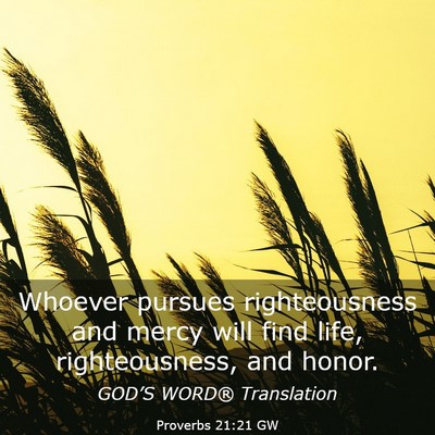 Picture 03 - Proverbs 21:21 GW - Whoever pursues righteousness and mercy will find - Bible Verse Picture