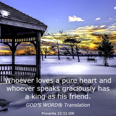 Picture 03 - Proverbs 22:11 GW - Whoever loves a pure heart and whoever speaks - Bible Verse Picture