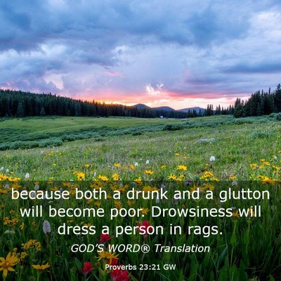 Picture 03 - Proverbs 23:21 GW - because both a drunk and a glutton will become - Bible Verse Picture