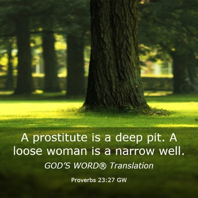 Picture 03 - Proverbs 23:27 GW - A prostitute is a deep pit. A loose woman is a - Bible Verse Picture